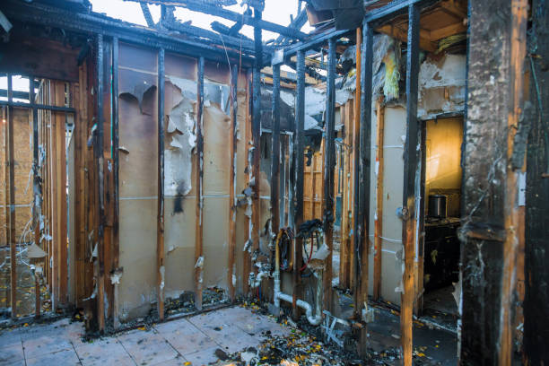 Professional Odor Removal technician working in Bridgeport, TX
