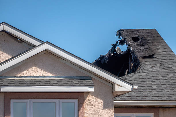Top rated local Odor Removal specialists in Bridgeport, TX